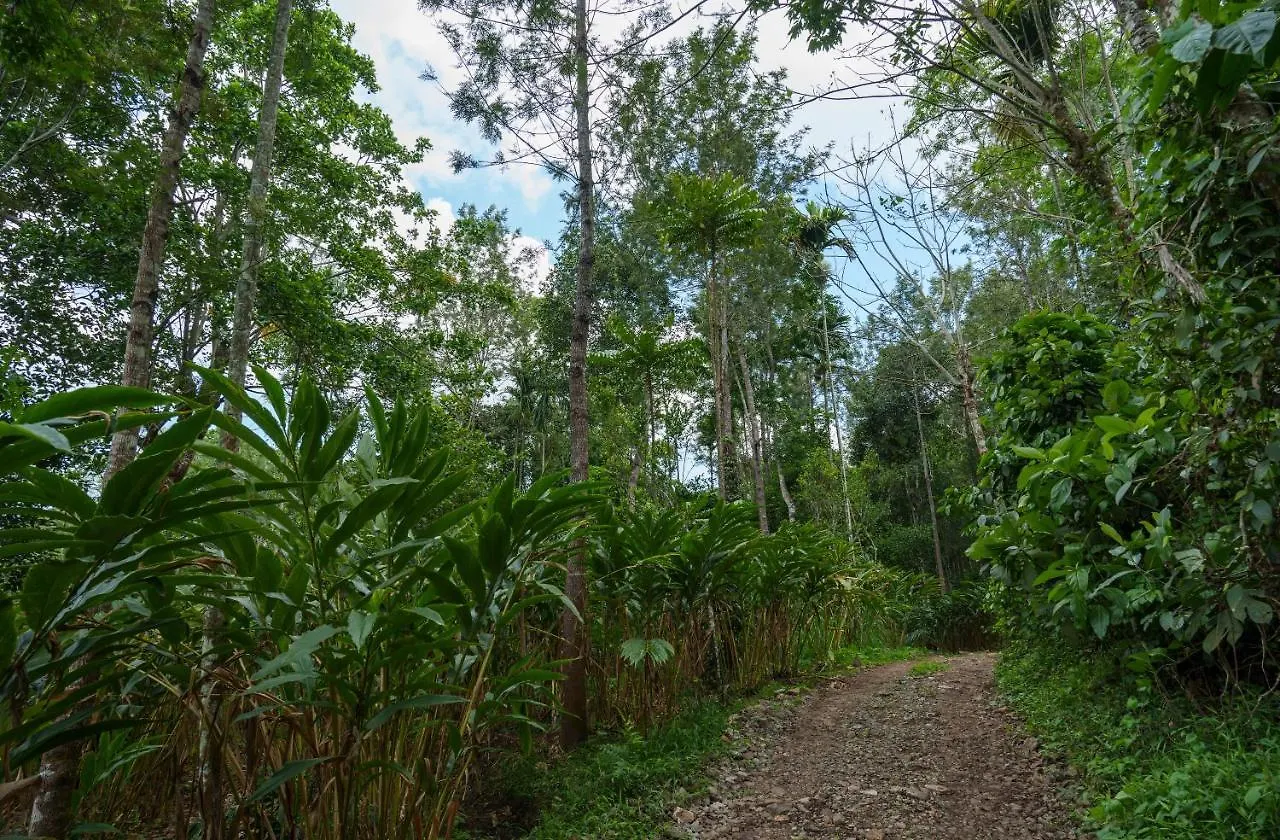 Mystic Trees, Kumily Apartment Thekkady Homestay