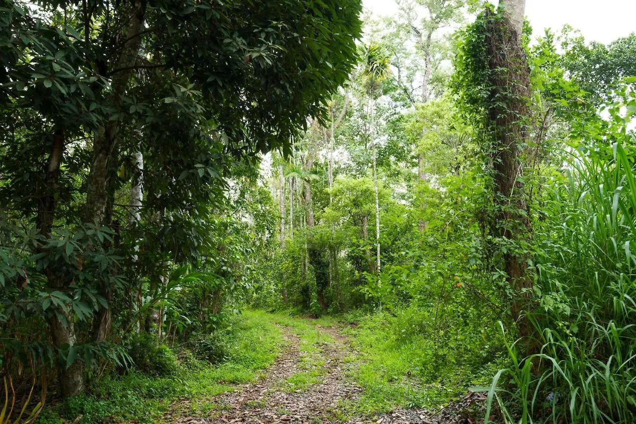 Homestay Mystic Trees, Kumily Apartment Thekkady